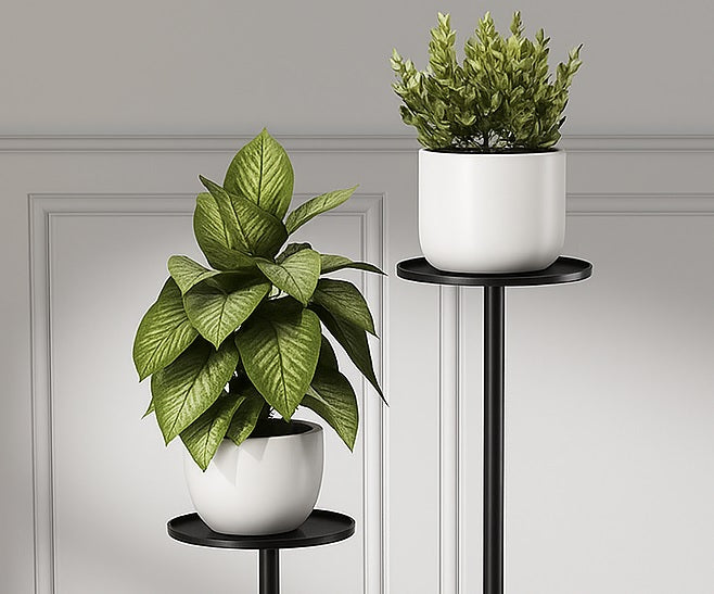 Modern Curve Plant Stand Frame